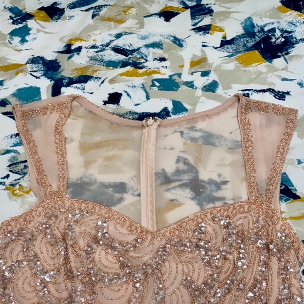 Adrianna Papell Blush Bodice Chiffon Gown Size 6 - Picture 8 of 8